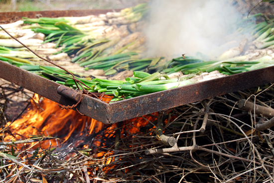 Caloçots